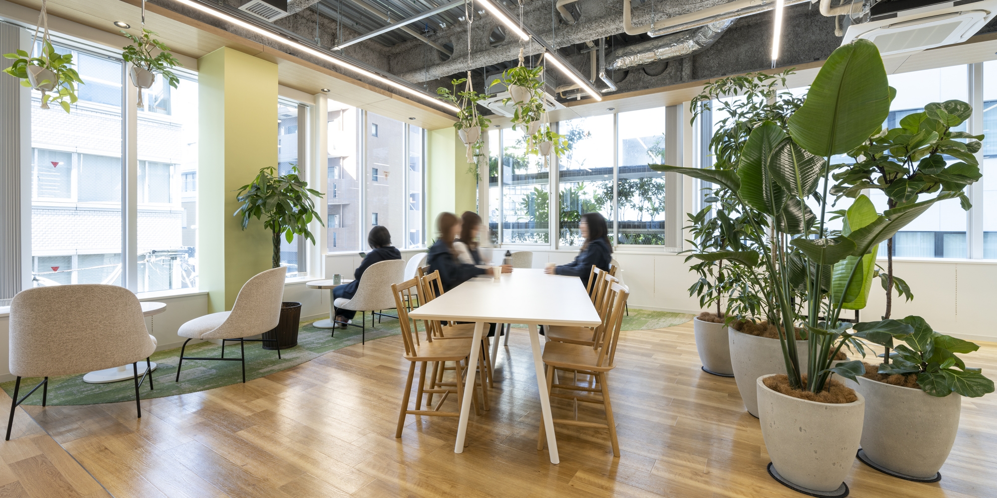 オフィスデザイン実績～開放的で自然を感じられる、過ごしやすい空間