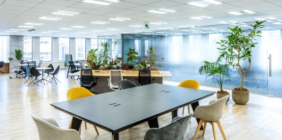 オフィスデザイン事例|開放感と清潔感・アクセントグリーンが印象的なデザイナーズオフィス