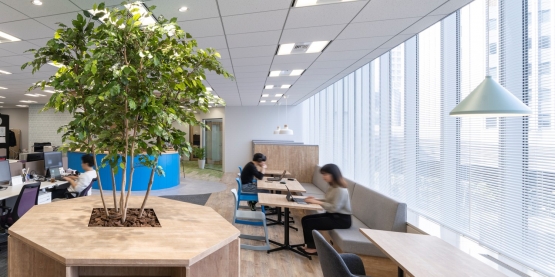 オフィスデザイン事例|コミュニケーションが生まれ、心のよりどころになるオフィス「Perche -止まり木-」