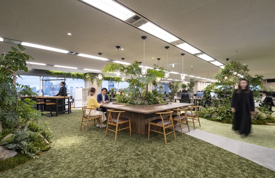 オフィスデザイン事例|緑に囲まれて働くバイオフィリックオフィス『オーエフの森』