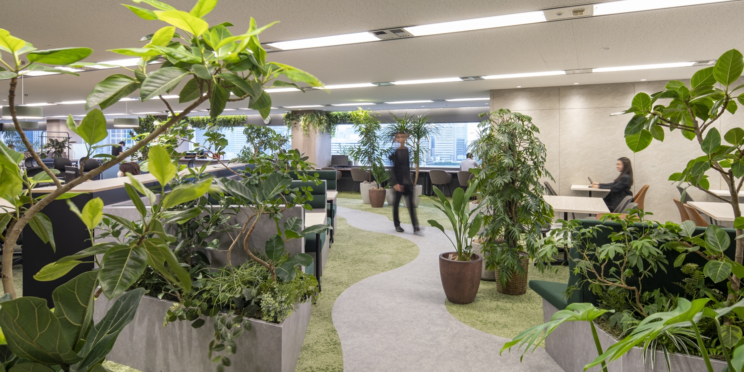オフィスデザイン実績～緑に囲まれて働くバイオフィリックオフィス『オーエフの森』