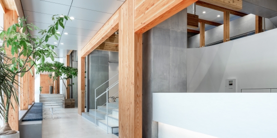 オフィスデザイン事例|スキップフロアがコミュニケーションを通わせる高架下のオフィス